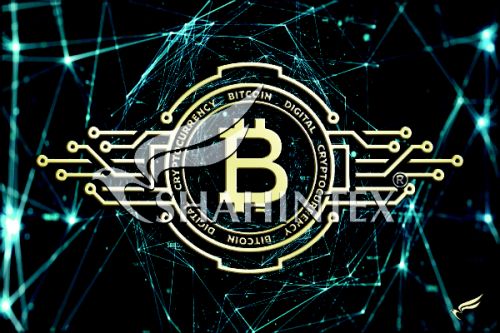 Коврик влаговпитывающий SHAHINTEX DIGITAL PRINT (06) «Биткойн» 50*80